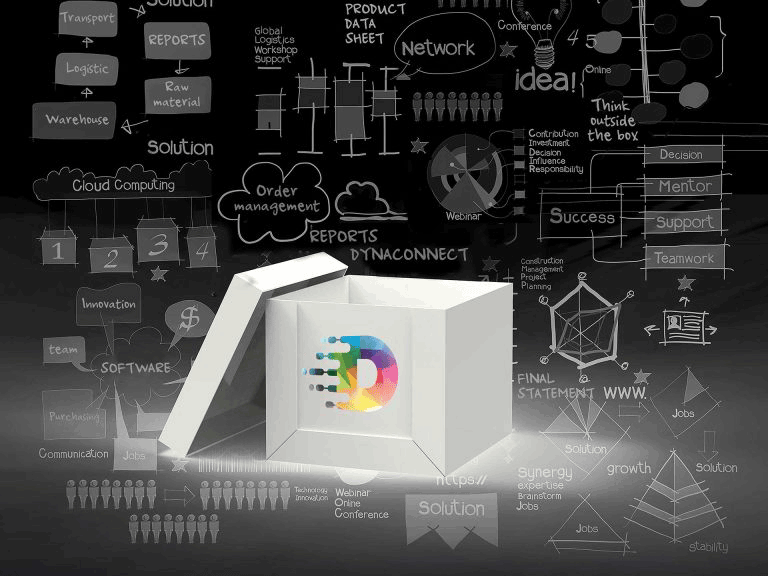software erp dynapack