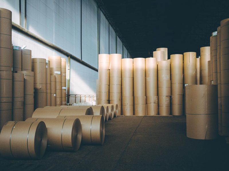 wms materia prima dynapack